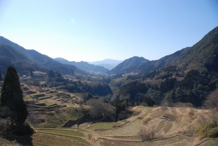 100208__24_.jpg 100208__24_.jpg